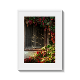 Autumns Embrace