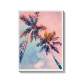 Palm Mirage