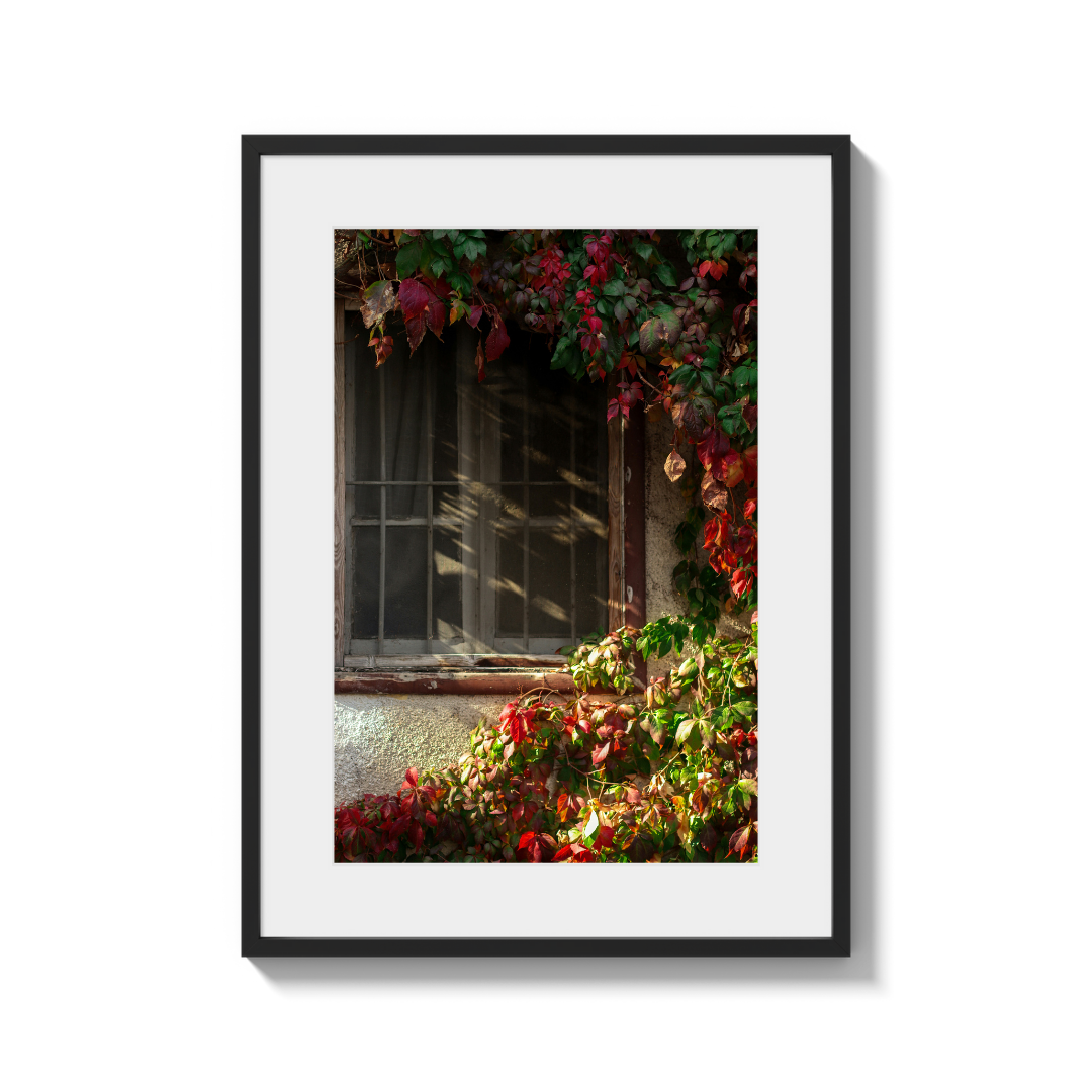 Autumns Embrace