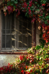 Autumns Embrace