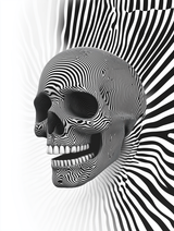Skullscape