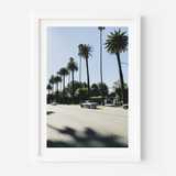 Beverly Cruise